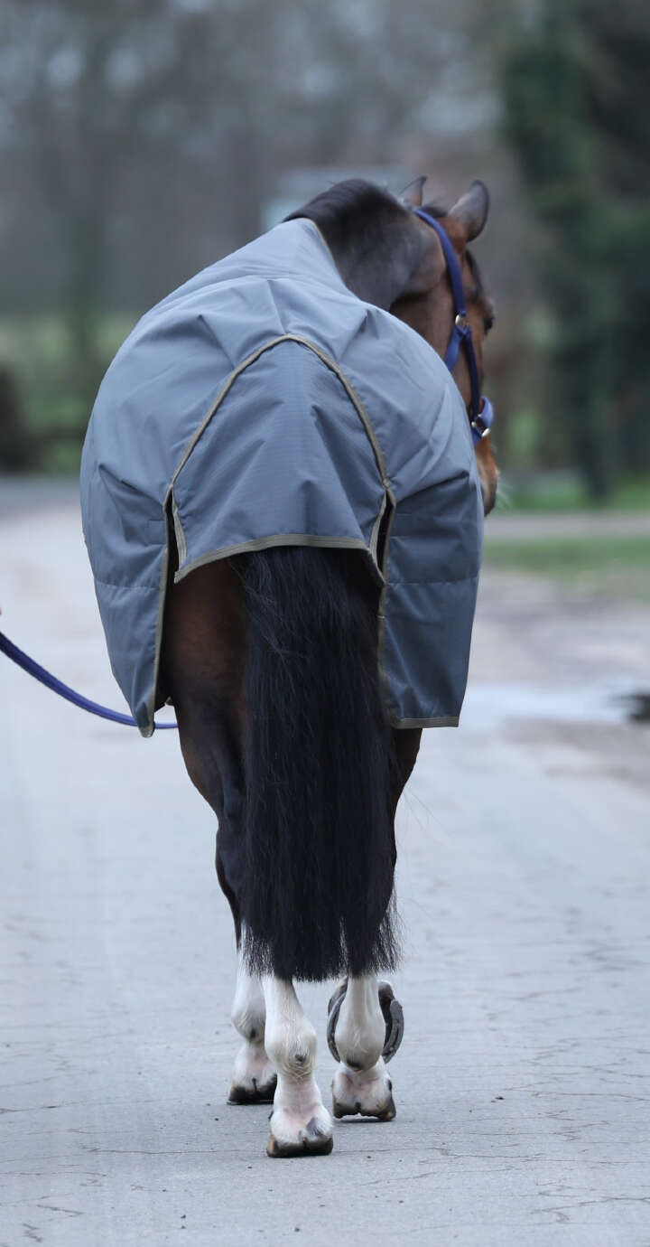 bucas Outdoordecke Freedom Turnout 50g